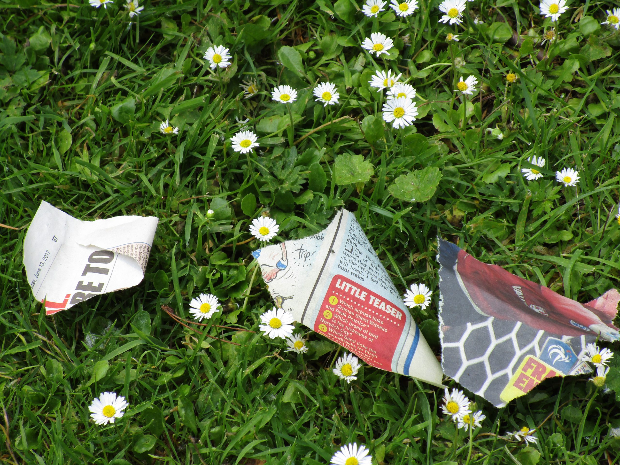 The Making of Us--Wildflowers with newspaper pieces