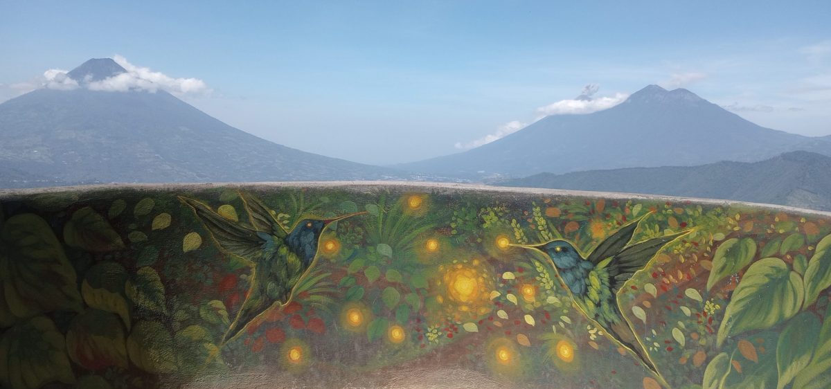 About LitWyrm--picture of mountains with a mural in front of them with fireflies in a meadow.