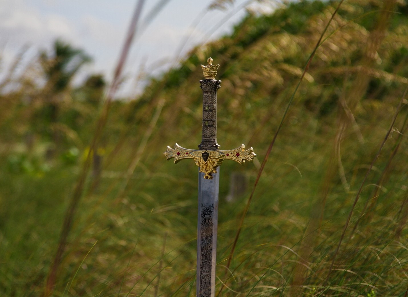 The Sword in His Hand--Image of a sword stuck in the grass