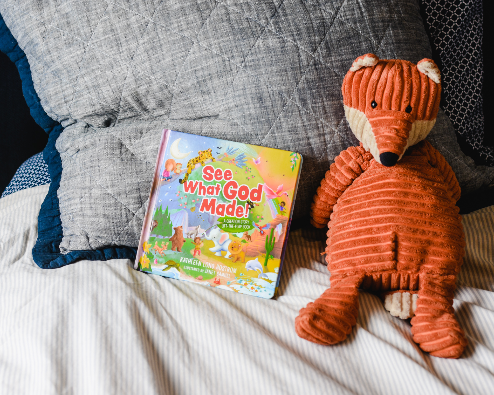 Book Review: See What God Made!